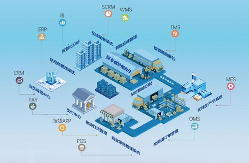 上海冷链物流公司竞相角逐 多元化竞争与技术革新共创行业辉煌
