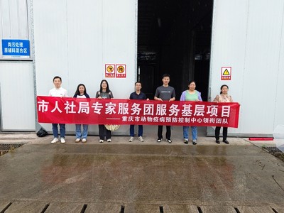 深入养殖一线送技术 助力蛋鸡产业提效益——市人社局第五批专家服务团杨泽林团队赴长寿区葛兰镇开展技术服务